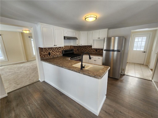 kitchen featuring under cabinet range hood, stainless steel appliances, a peninsula, a sink, and decorative backsplash