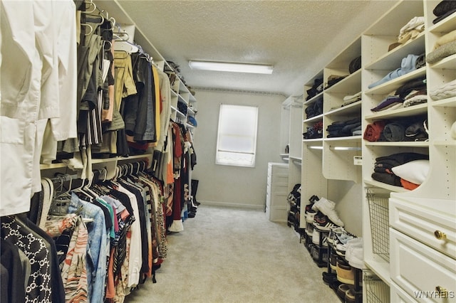 walk in closet with light carpet