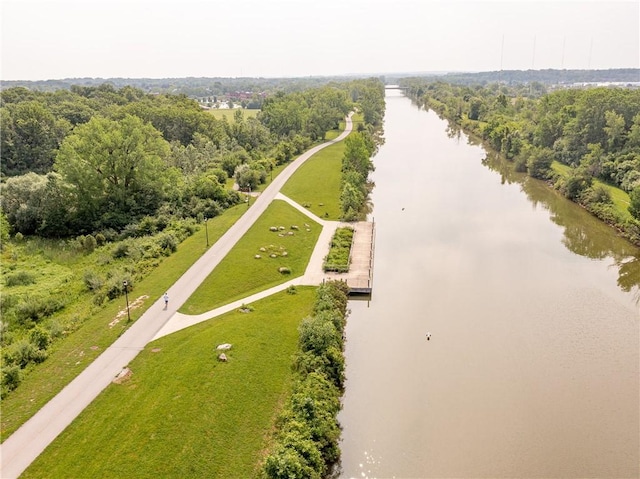 bird's eye view with a forest view and a water view