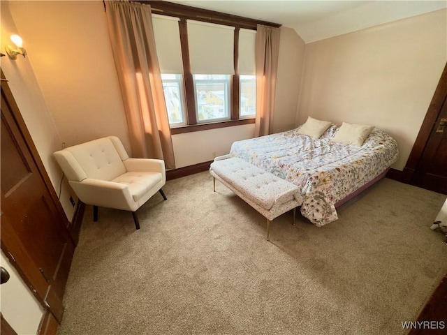 bedroom featuring lofted ceiling, baseboards, and carpet flooring