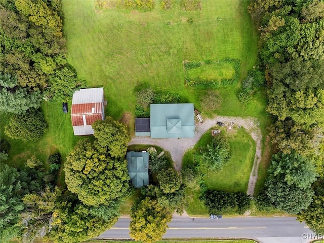 bird's eye view