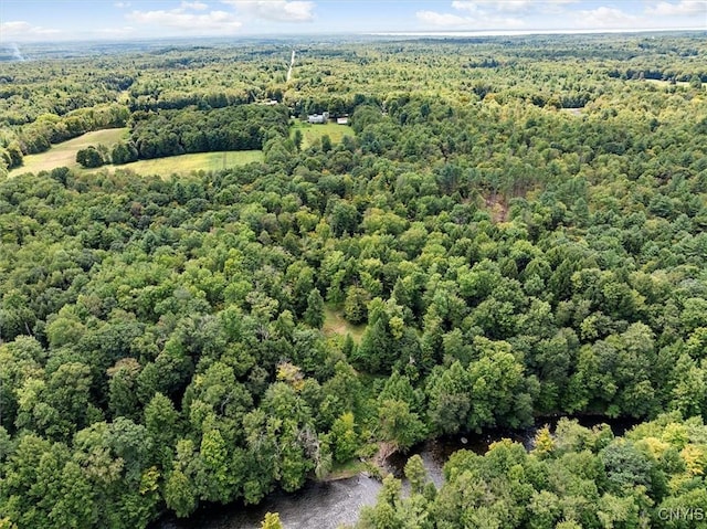 drone / aerial view featuring a view of trees