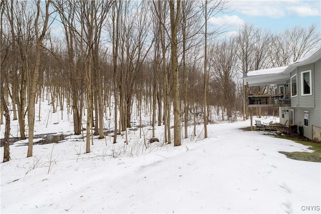 view of yard layered in snow