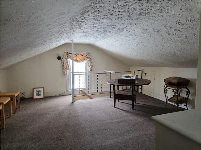 additional living space with vaulted ceiling, a textured ceiling, and carpet flooring