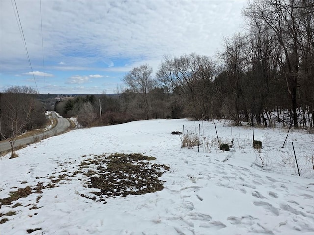 view of yard covered in snow