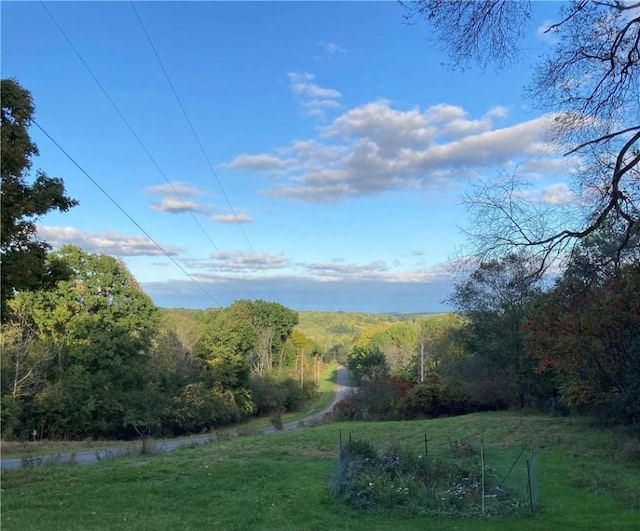 view of yard featuring a view of trees