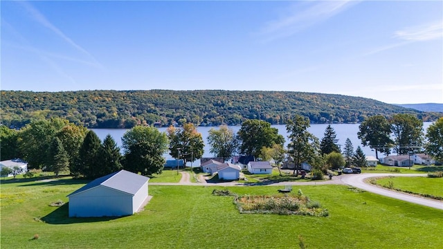 drone / aerial view with a water view and a view of trees