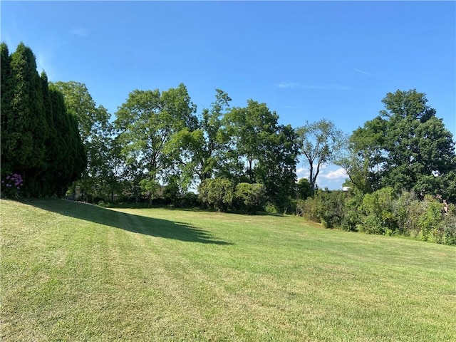 114 Nottingham Way, Horseheads, NY 14903 - photo 3