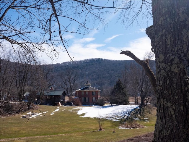 mountain view featuring a forest view