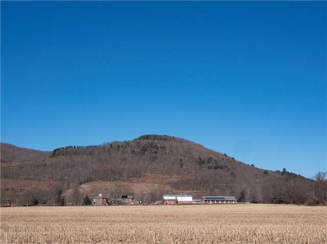 view of mountain feature featuring a rural view