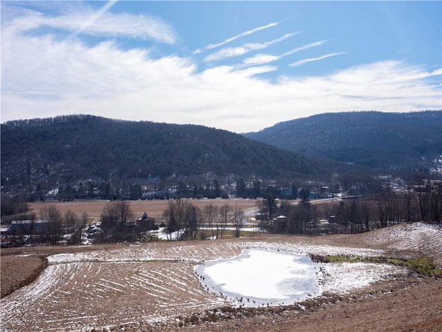 view of mountain feature