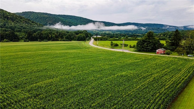 mountain view with a rural view and a forest view