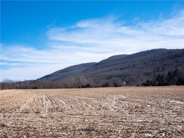 view of mountain feature featuring a rural view