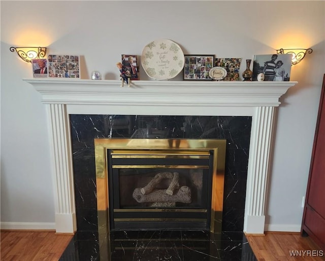 interior details with baseboards, wood finished floors, and a high end fireplace