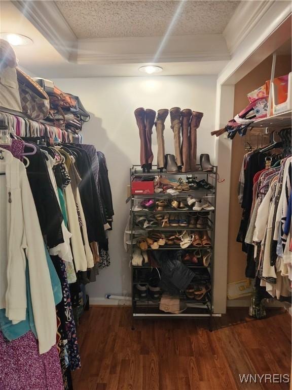 walk in closet featuring wood finished floors