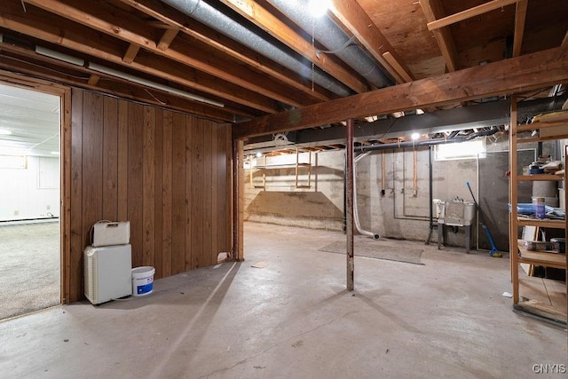 below grade area featuring wood walls and a sink