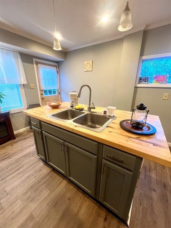 kitchen featuring pendant lighting, light wood-style flooring, ornamental molding, a sink, and butcher block countertops