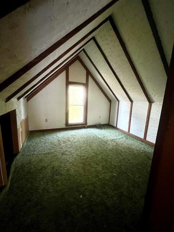 additional living space with carpet and vaulted ceiling