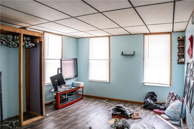 misc room with a paneled ceiling, a healthy amount of sunlight, and wood finished floors