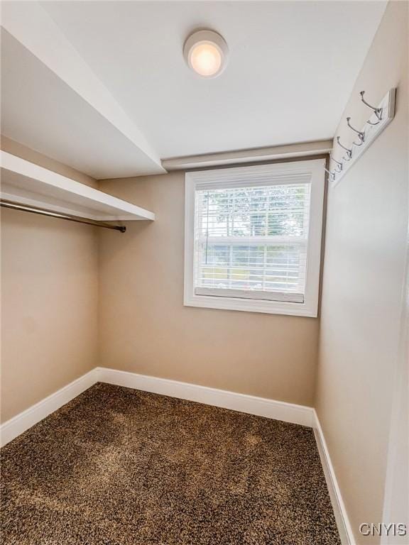 walk in closet with carpet flooring