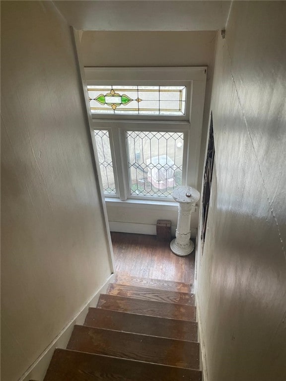 staircase with wood-type flooring