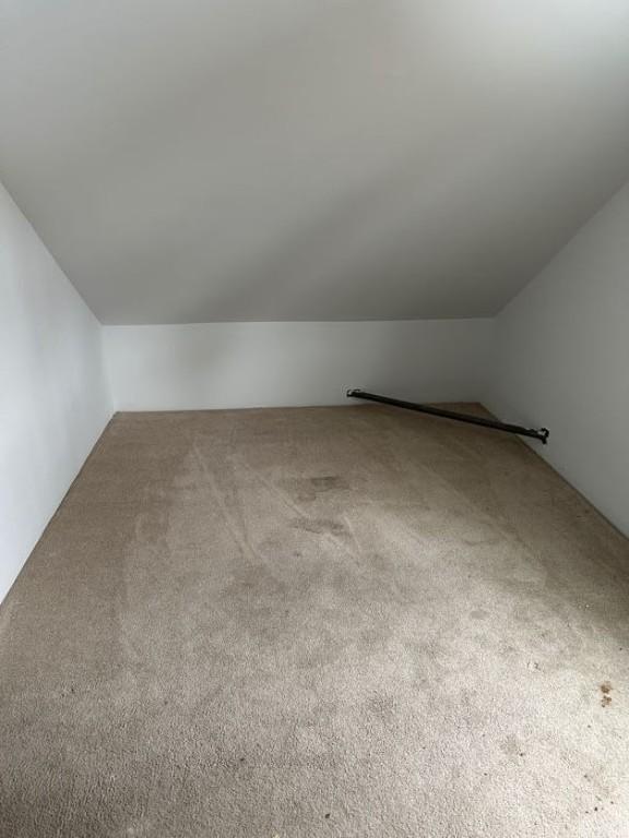 bonus room featuring lofted ceiling and carpet floors