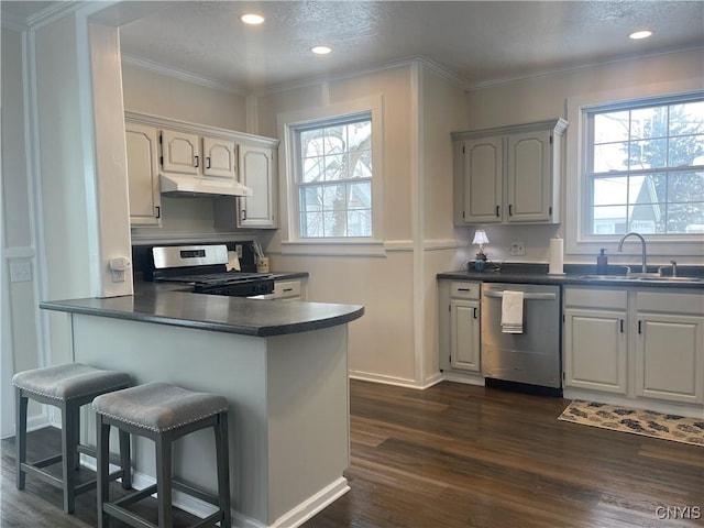 kitchen with dark countertops, appliances with stainless steel finishes, a healthy amount of sunlight, under cabinet range hood, and a sink