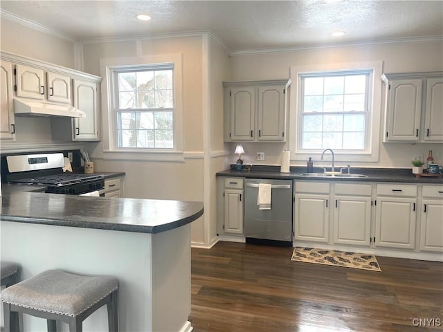 kitchen with dark countertops, dark wood-style floors, appliances with stainless steel finishes, under cabinet range hood, and a sink