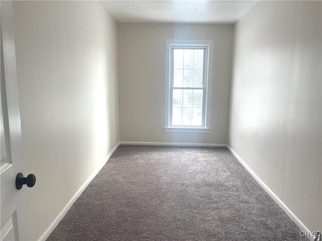 spare room with carpet floors, baseboards, and a textured ceiling