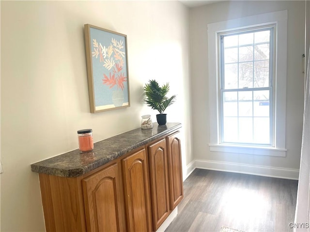 entryway featuring plenty of natural light, baseboards, and wood finished floors