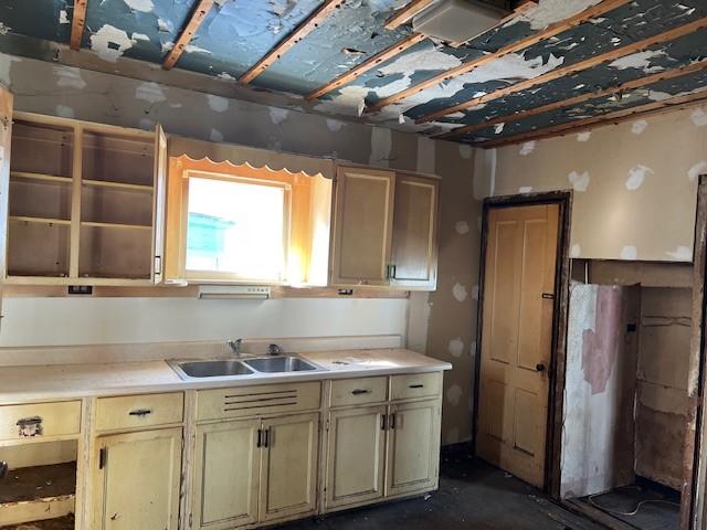 kitchen featuring light countertops and a sink