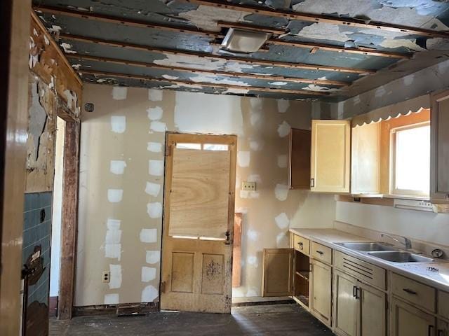 kitchen featuring light countertops and a sink