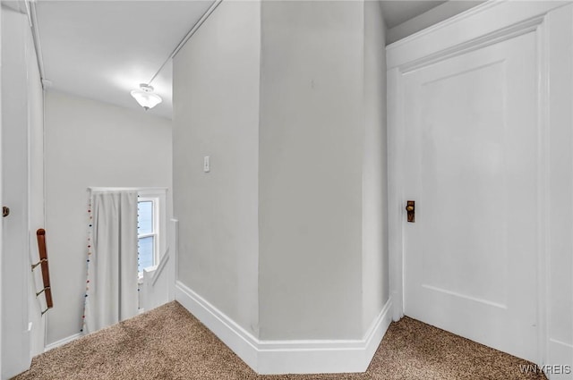 corridor featuring carpet floors