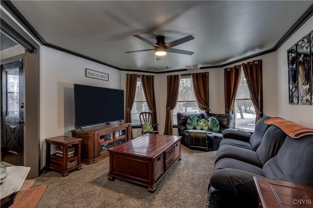 living area featuring visible vents, carpet flooring, a ceiling fan, and crown molding