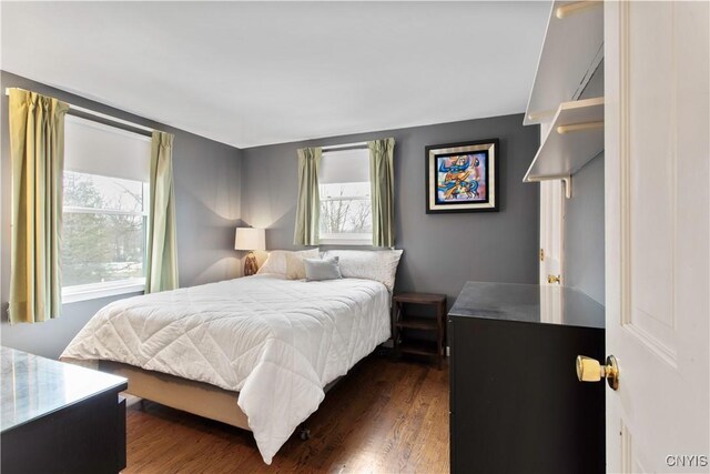 bedroom featuring multiple windows and dark wood-style flooring