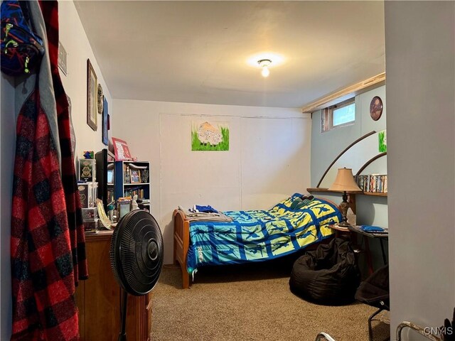 263 Turner St, Preston, NY 13830 - photo 40