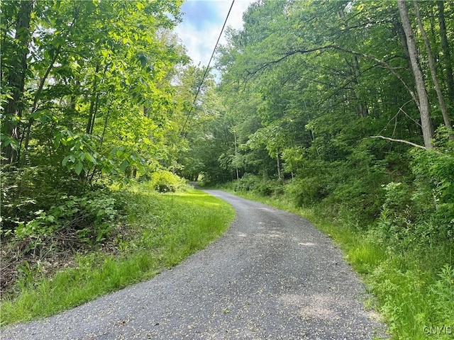 263 Turner St, Preston, NY 13830 - photo 48