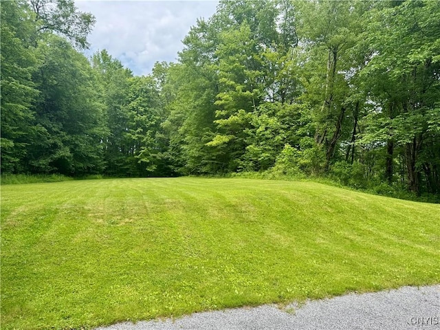 263 Turner St, Preston, NY 13830 - photo 49