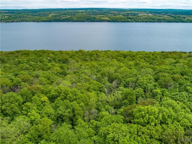 birds eye view of property featuring a water view and a wooded view