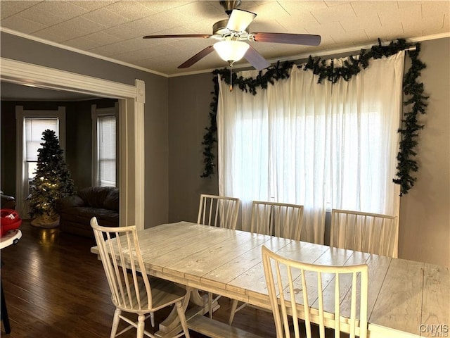 dining space featuring a ceiling fan, plenty of natural light, crown molding, and wood finished floors