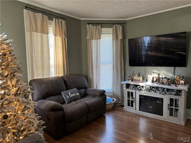 living area featuring ornamental molding, wood finished floors, and a glass covered fireplace