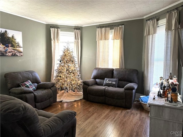 living area with wood finished floors and crown molding