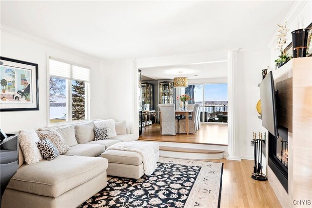 living area with crown molding and light wood-style flooring