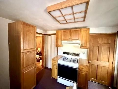 100 Cruger St, Bath, NY 14810 - kitchen featuring dark colored carpet, brown cabinetry, light countertops, under cabinet range hood, and electric stove