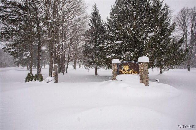 G303 Snowpine, Great Valley, NY 14741 - view of yard layered in snow