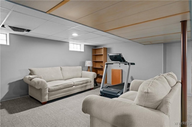 living area featuring baseboards, carpet flooring, visible vents, and a drop ceiling