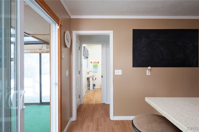 interior space with baseboards, ornamental molding, light wood-style flooring, and a healthy amount of sunlight