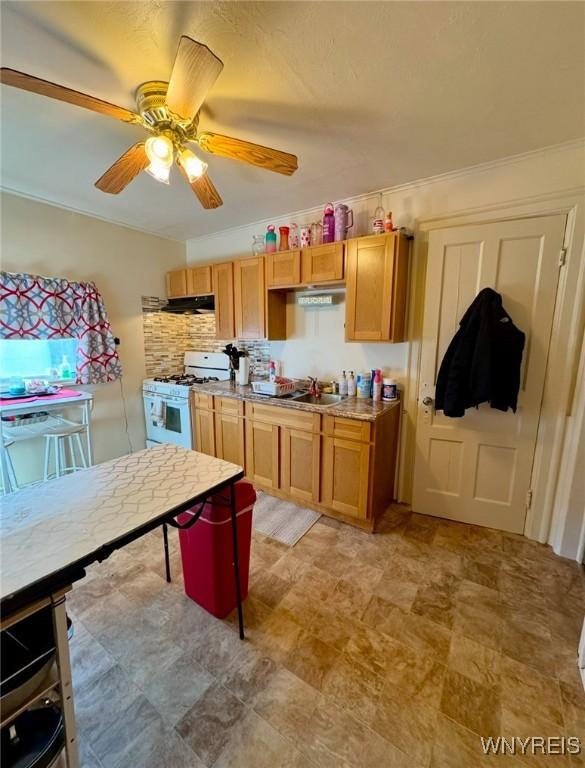 kitchen featuring ceiling fan, white gas stove, a sink, ornamental molding, and tasteful backsplash