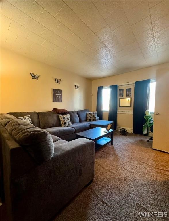 living area featuring carpet flooring