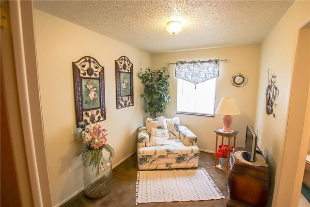 sitting room featuring a textured ceiling, carpet floors, and baseboards